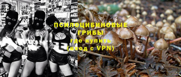 трава Арсеньев