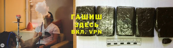 индика Аркадак