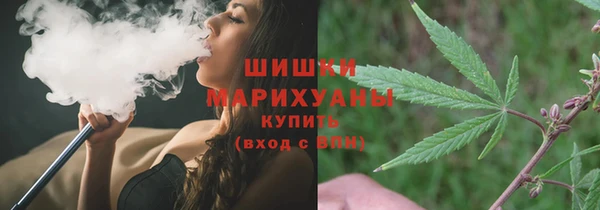 индика Аркадак