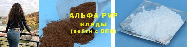 индика Аркадак