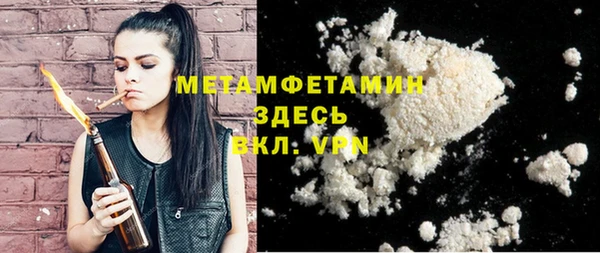 индика Аркадак