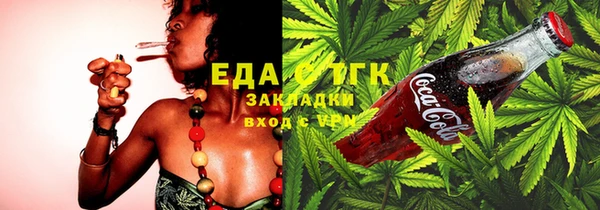 индика Аркадак