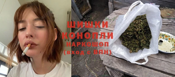 индика Аркадак