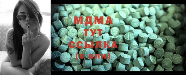индика Аркадак