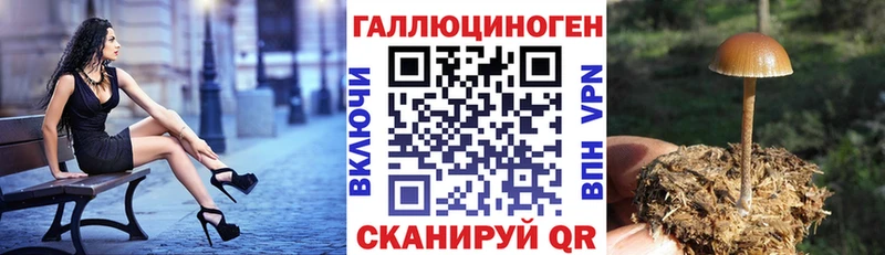даркнет Telegram Шацк Галлюциногенные грибы MAGIC MUSHROOMS